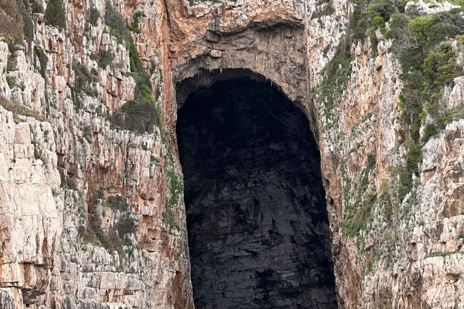 De Vlore: Excursão de lancha rápida à caverna Haxhi Ali com mergulho com snorkel