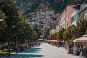 Tour de día completo desde Tirana- Berat con visita opcional a una bodega