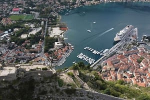 Heldagstur til Montenegro; Budva, Kotor fra Tirana&Durres