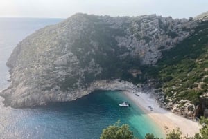 Полнодневная экскурсия в залив Грама и весь морской парк