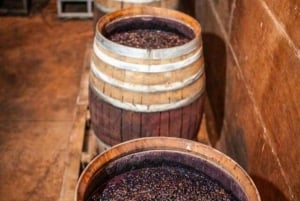 Discover Antigonea in a perfect escape from Gjirokastra