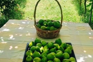 Discover Antigonea in a perfect escape from Gjirokastra