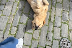 Gjirokaster & Blue Eye: Day Tour from Vlore