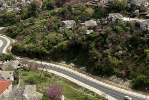 Gjirokaster og Blåøyet: Dagstur fra Vlore