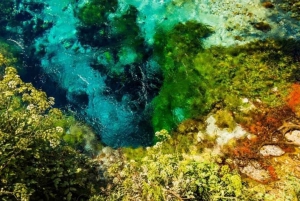 Sarandë: Rundtur i Gjirokaster, Blå ögat och Lekursi slott