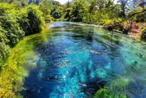 Sarandë: Rundtur i Gjirokaster, Blå ögat och Lekursi slott