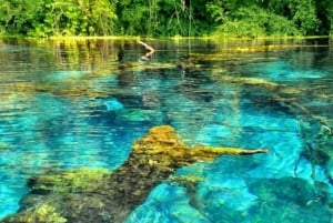 Sarandë: Rundtur i Gjirokaster, Blå ögat och Lekursi slott