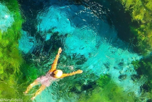 Sarandë: Rundtur i Gjirokaster, Blå ögat och Lekursi slott