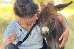 Gjirokaster: Donkey Trail & Milking Delight