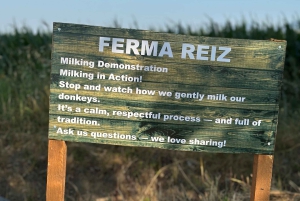 Gjirokaster: Donkey Trail & Milking Delight