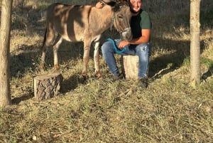 Gjirokastra: Eselwanderung & Melkgenuss