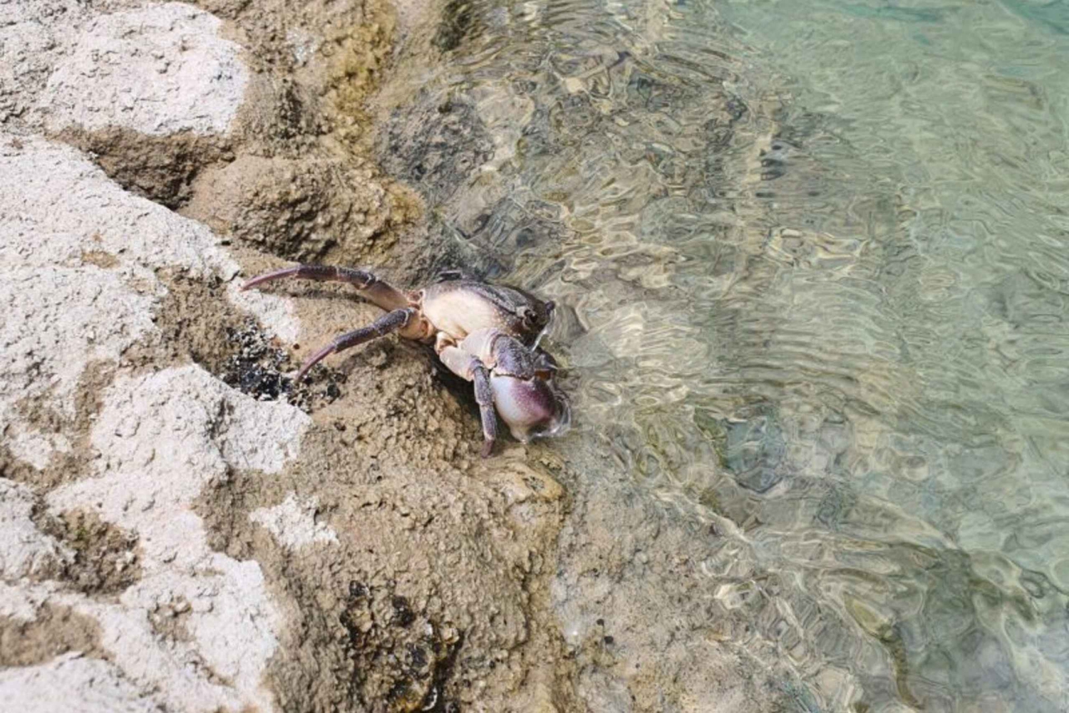 Gjirokastër: Selcka-fossen – eventyrtur med vandring og bading