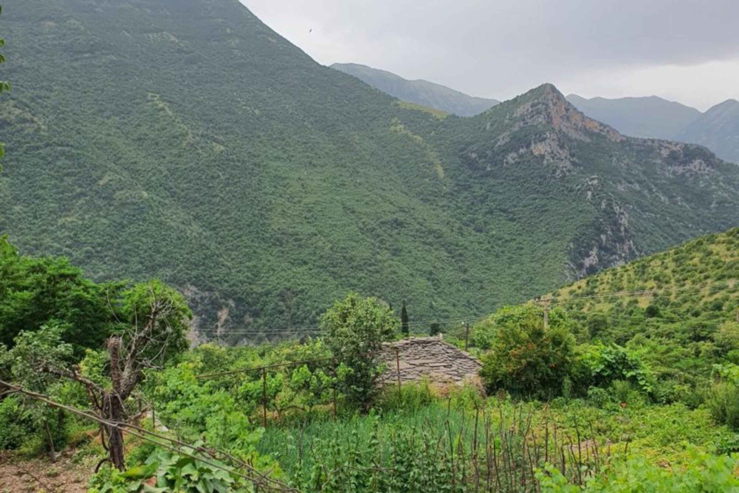 Gjirokastër: Selcka-fossen – eventyrtur med vandring og bading