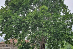 Gjirokastër: Selcka-fossen – eventyrtur med vandring og bading