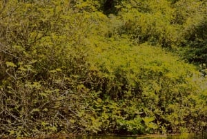 From Ksamil & Sarande: Blue eye & Lekursi Castle SUNSET