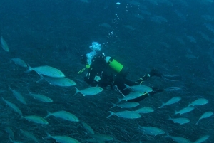 Golem/Durres: Taucherlebnis im Ionischen Meer