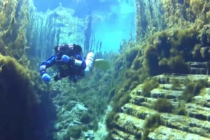 Golem/Durres: Taucherlebnis im Ionischen Meer