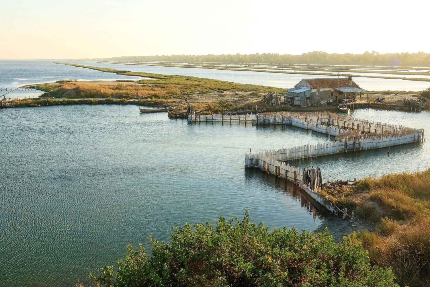 Golem/Durrës: excursión a la laguna de Karavasta