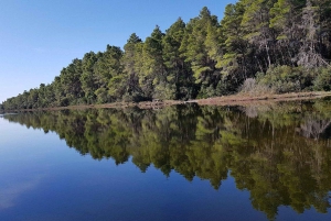 Golem/Durrës: Karavasta Lagoon Tour