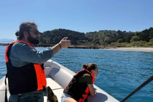 Grama Bay & Blue Cave: speedboottocht vanuit Vlore