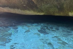 Grama Bay & Blaue Höhle: Schnellboot-Tour ab Vlora