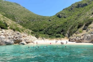 Hurtigbåttur i Grama Bay Vlore