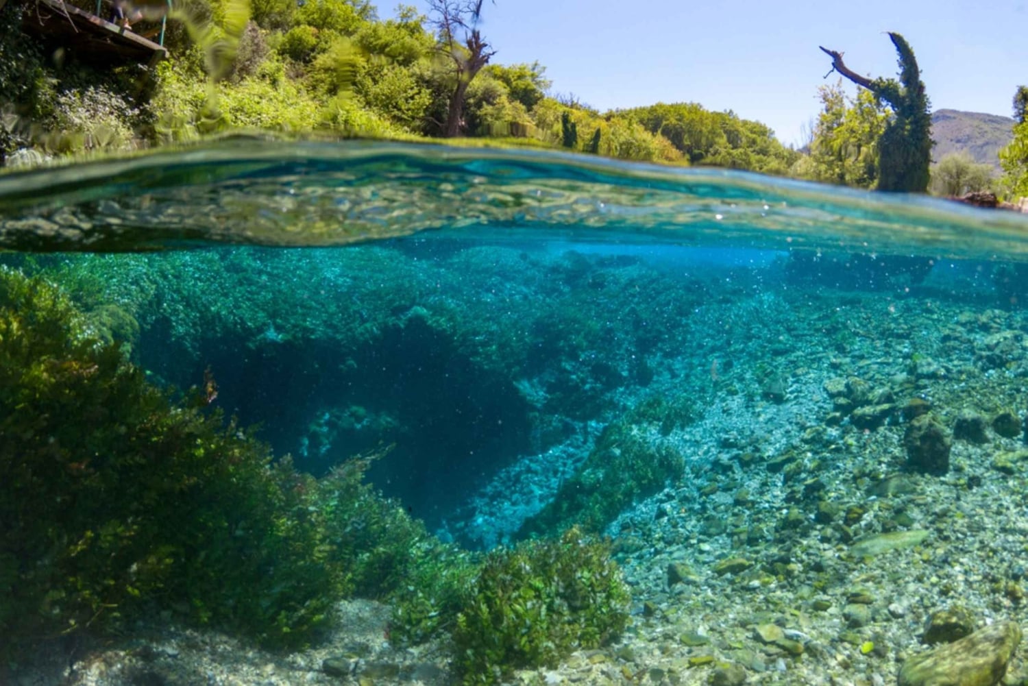 Viagem de meio dia ao Olho Azul