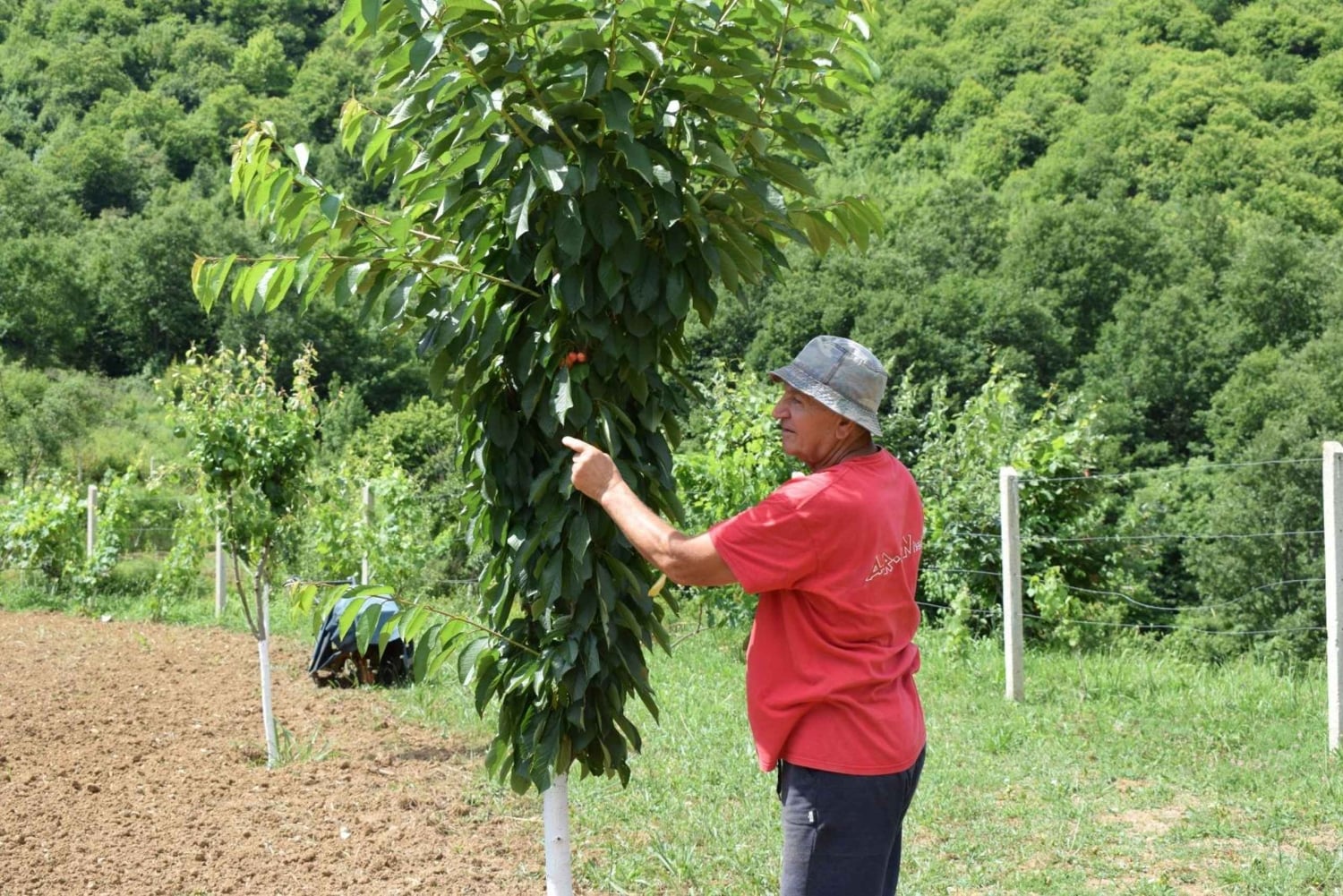 Día de trabajo en la granja en Plesat con almuerzo tradicional albanés