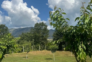 Giornata pratica in fattoria a Plesat con pranzo tradizionale albanese