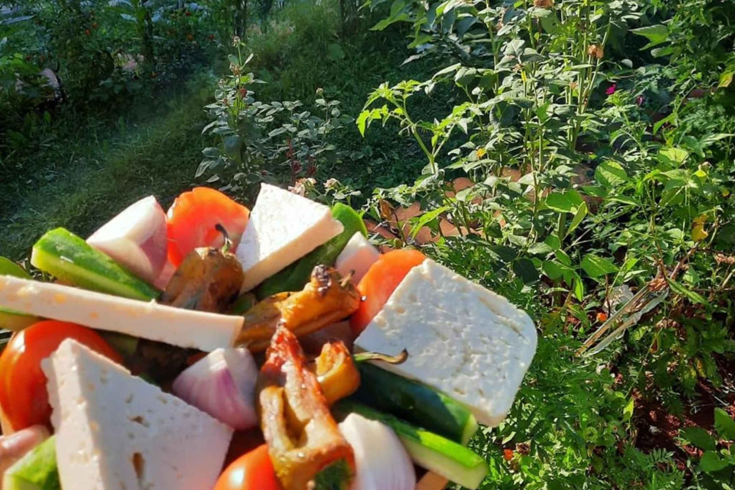 Vandra som lokalbefolkningen: Upptäck Albaniens dolda bergsled