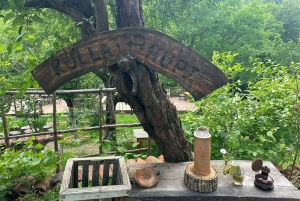 Vandra som lokalbefolkningen: Upptäck Albaniens dolda bergsled