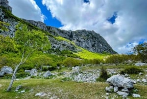 Depuis Tirana : Randonnée sur le mont Gamti et le lac Bovilla en Land Rover