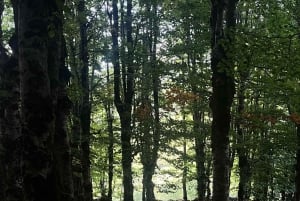 Hike to Selcë Waterfall& Explore Tamara, Lepushë and Vermosh