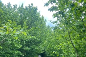 Hike to Valamara’s Glacial Lakes with Pickup from Korça