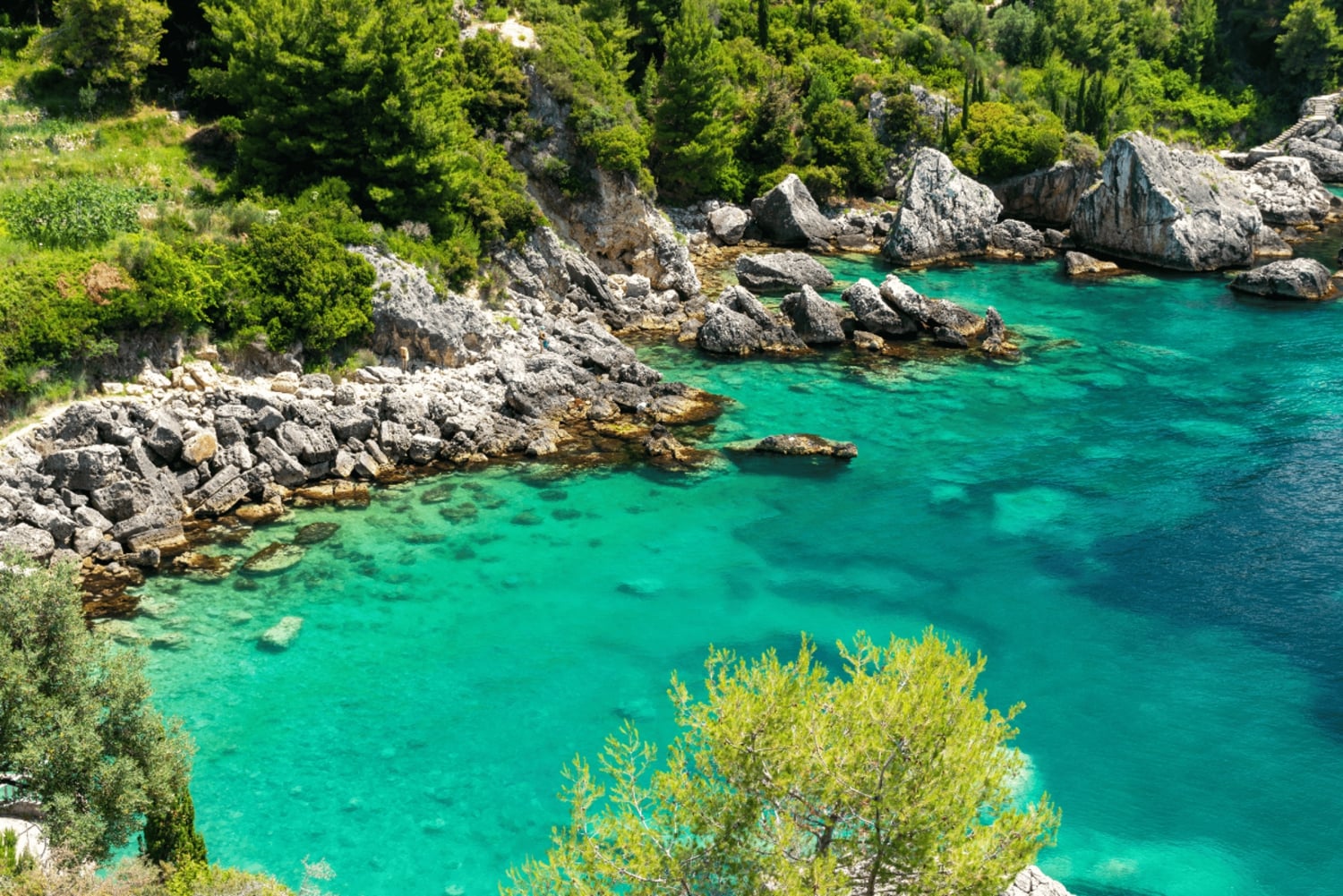 Himara: tour en barco por la Riviera albanesa y cuevas con baño y snorkel