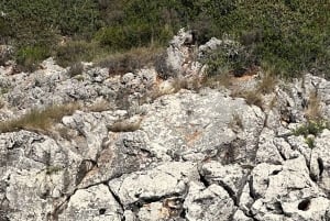 Himare: Grama Bay-tur med svømmeture