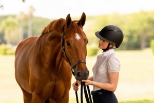 Horse Riding, Traditional Food, and Panoramic Views