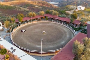 Horse Riding, Traditional Food, and Panoramic Views