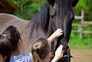 Horse Riding, Traditional Food, and Panoramic Views