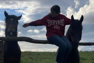 Passeggiata a cavallo a Hani i Qerosit con pick-up da Berat