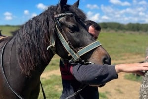 Passeggiata a cavallo a Hani i Qerosit con pick-up da Berat