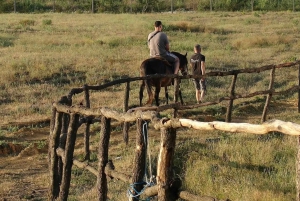 Passeggiata a cavallo a Hani i Qerosit con pick-up da Berat