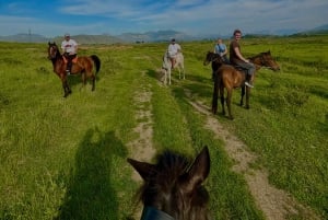 Saranda: Horseback Riding Tour