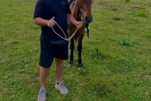 Saranda: Horseback Riding Tour