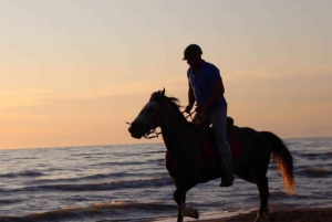 Durres: Horseback Riding Tour from Forest to the Coast