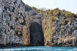 Vlore: Speedboot-Abenteuer zur Insel Sazan und zur Haxhi-Ali-Höhle