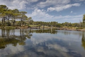 Karavasta: fugletitting, utsiktstårn og båttur i lagunen