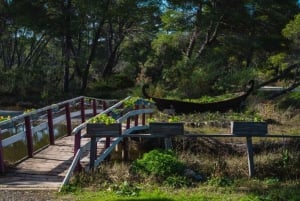 Karavasta: lintujen tarkkailu, näkymät tornista ja venematka laguunissa