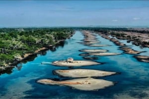 Karavasta: lintujen tarkkailu, näkymät tornista ja venematka laguunissa