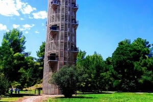 Karavasta: lintujen tarkkailu, näkymät tornista ja venematka laguunissa